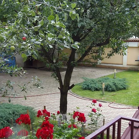 Апартаменты D'hollande *