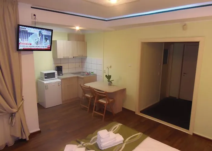 D'hollande * Brașov